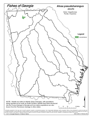 alewife Region Map