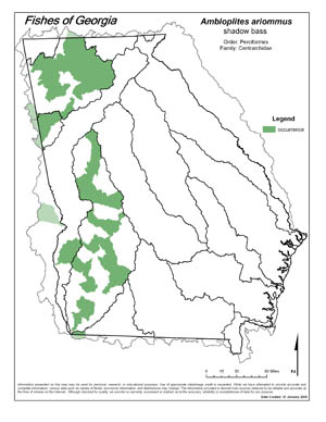 shadow bass Region Map