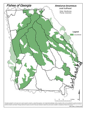 snail bullhead Region Map