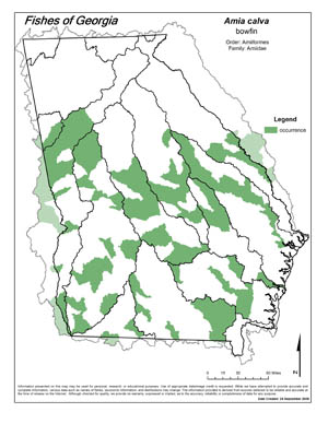 bowfin Region Map