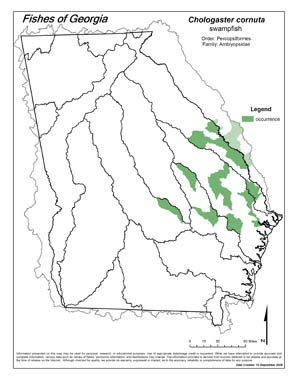 swampfish Region Map