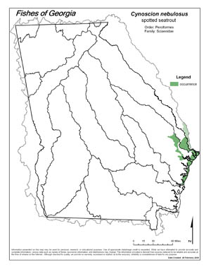 spotted seatrout Region Map