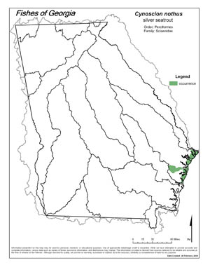 silver seatrout Region Map