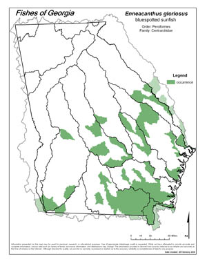 bluespotted sunfish Region Map