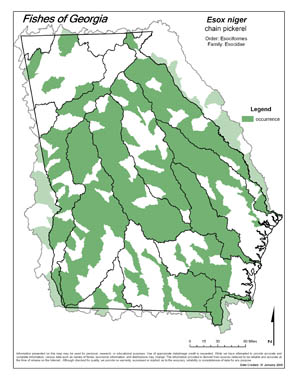 chain pickerel Region Map