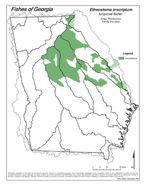 turquoise darter Region Map