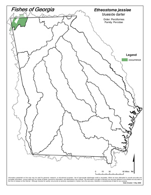 blueside darter Region Map