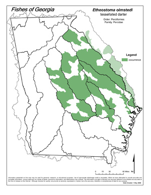 tessellated darter Region Map