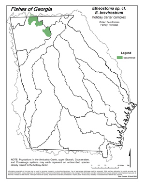 holiday darter complex Region Map