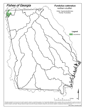 northern studfish Region Map