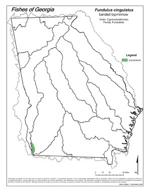 banded topminnow Region Map