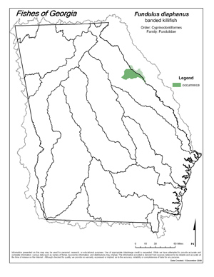 banded killifish Region Map