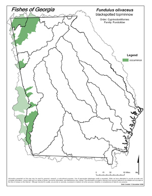 blackspotted topminnow Region Map