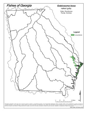 naked goby Region Map