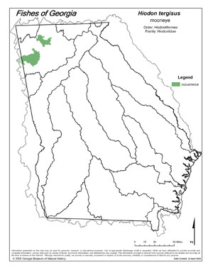 mooneye Region Map