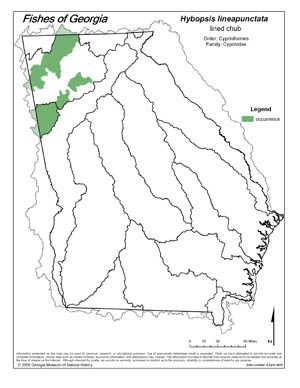 lined chub Region Map