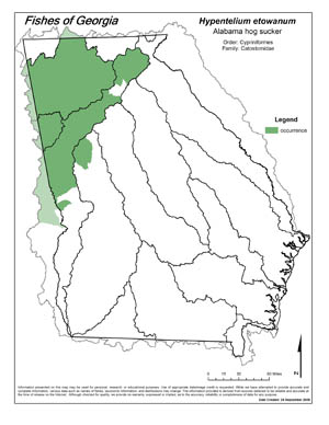 Alabama hog sucker Region Map
