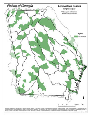 longnose gar Region Map