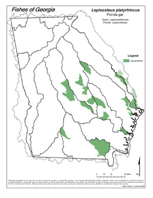 Florida gar Region Map