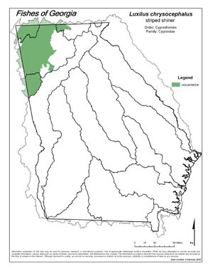 striped shiner Region Map