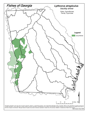 blacktip shiner Region Map