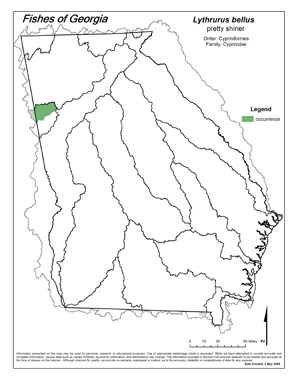 pretty shiner Region Map