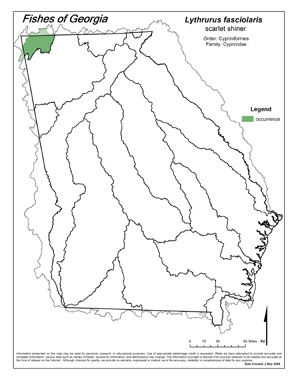 scarlet shiner Region Map