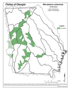 shoal bass Region Map