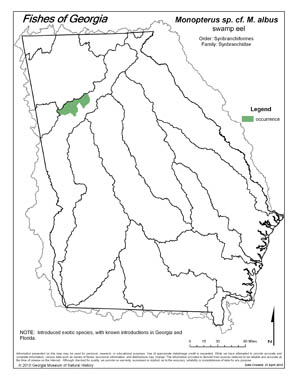 swamp eel Region Map
