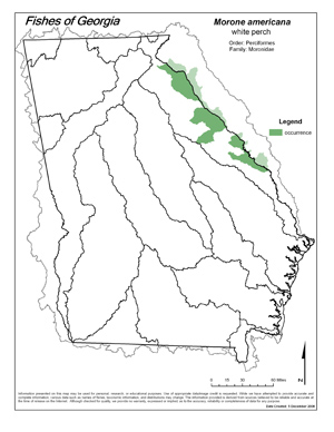 white perch Region Map