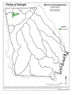 yellow bass Region Map