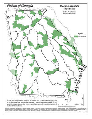 striped bass Region Map