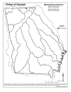 silver redhorse Region Map