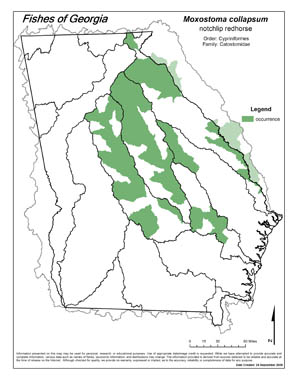 notchlip redhorse Region Map
