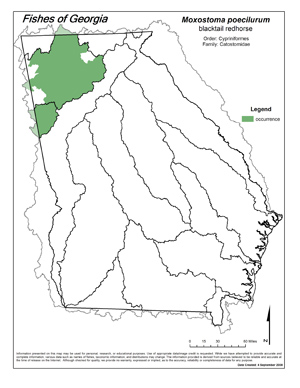 blacktail redhorse Region Map