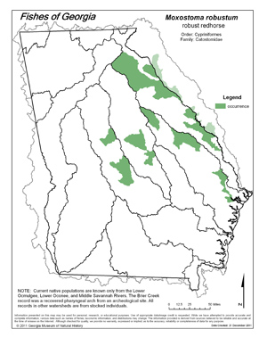 robust redhorse Region Map