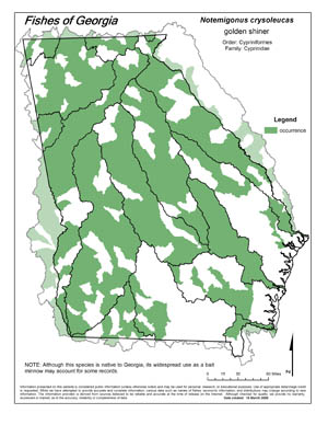 golden shiner Region Map