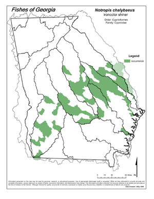 ironcolor shiner Region Map