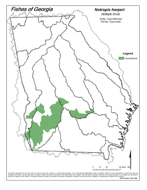 redeye chub Region Map