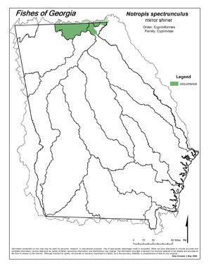 mirror shiner Region Map