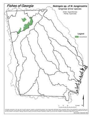 longnose shiner species Region Map