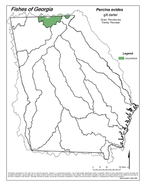 gilt darter Region Map