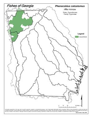 riffle minnow Region Map