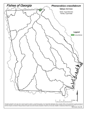 fatlips minnow Region Map
