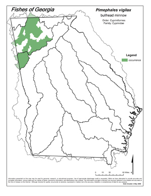bullhead minnow Region Map