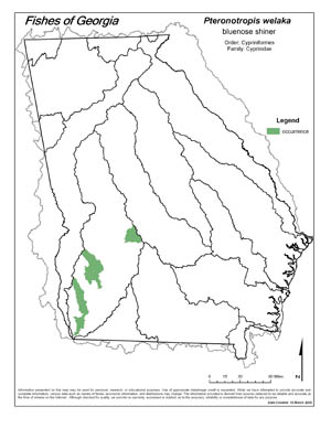 bluenose shiner Region Map
