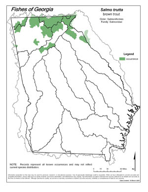 brown trout Region Map