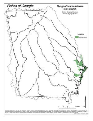 chain pipefish Region Map