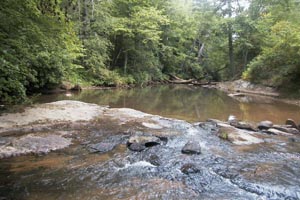 Etowah River
